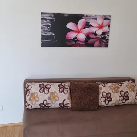 Silvana Brown Апартаменты Marusici (Split-Dalmatia)