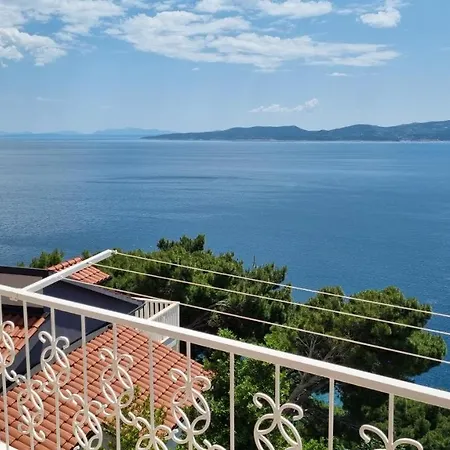 Silvana Brown Marusici (Split-Dalmatia)