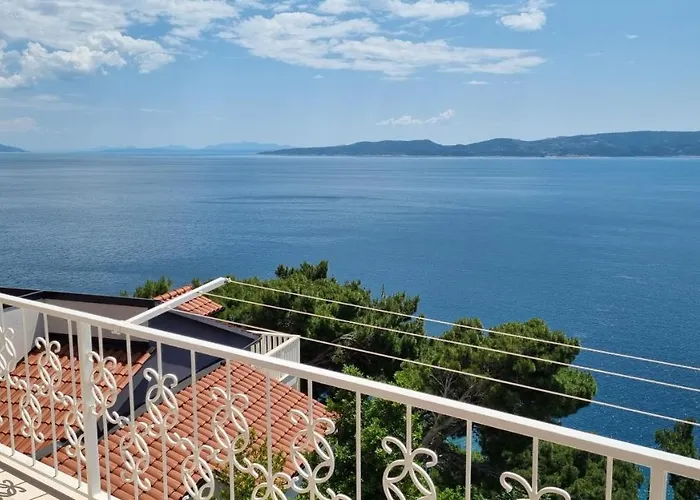 Silvana Brown Marusici (Split-Dalmatia)